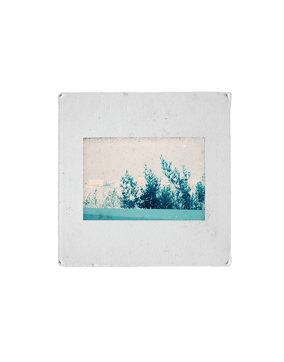 Diapositiiv Brüsselist