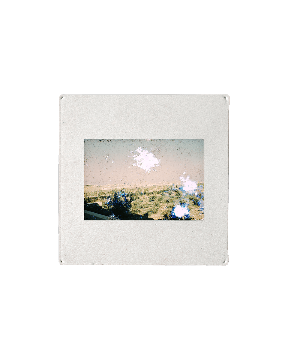 Diapositiiv Brüsselist